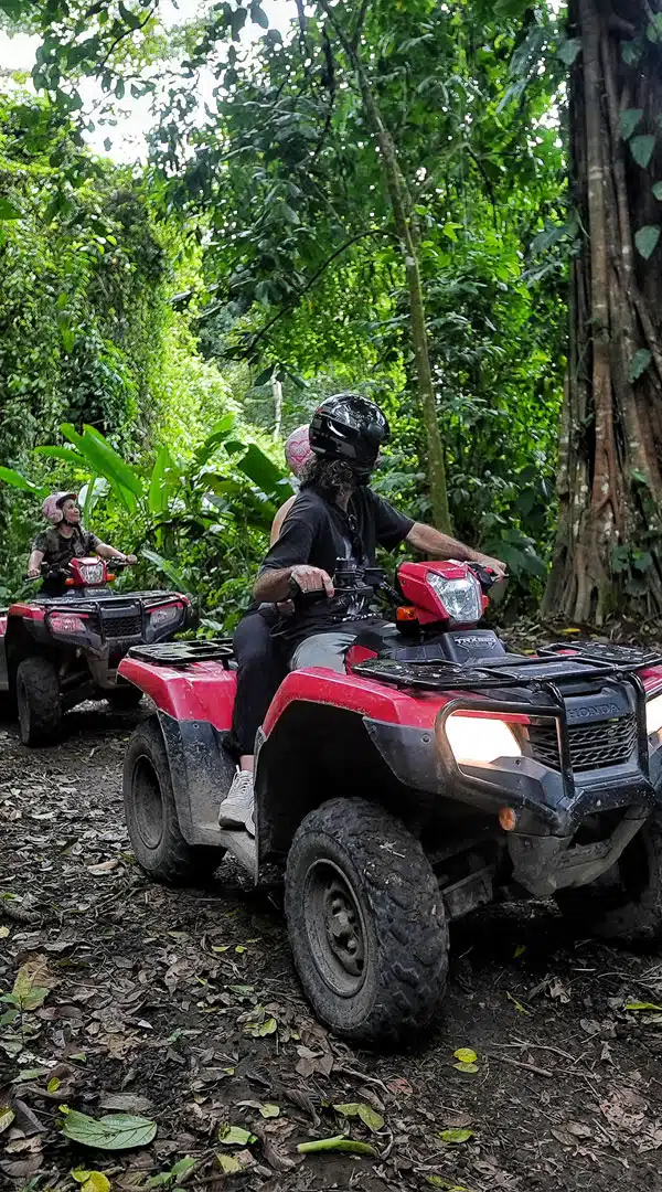 Canopy Zipline Adventure