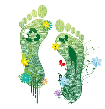 The Green Footprint at Grano de Oro